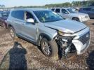 Hyundai SANTA FE Sel Image 1