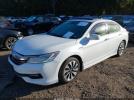 Honda Accord Touring Image 3