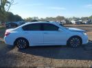 Honda Accord Touring Image 9