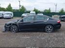 Honda Accord Lx Image 7