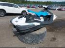 Sea-Doo Other Image 5
