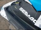 Sea-Doo Other Image 8