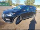Hyundai SANTA FE 2.4l Image 6