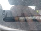 Honda Pilot Ex-l Image 17