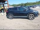 Toyota RAV4 Xle Image 11