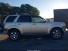 Ford Escape Limited Image 2