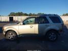 Ford Escape Limited Image 6