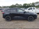 Ford Escape St-line Elite Image 12
