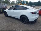 Tesla Model Y Image 4