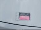 Tesla Model Y Image 7