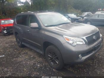  Salvage Lexus Gx