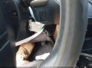 Toyota RAV4 Le Image 10