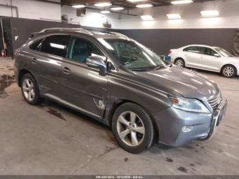  Salvage Lexus RX