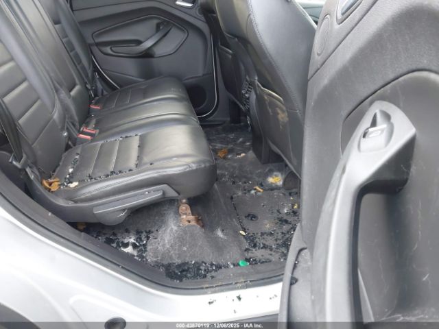 Ford Escape Sel Image 7