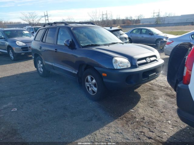 Hyundai SANTA FE Gls Image 1