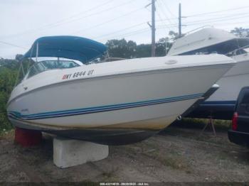  Salvage Wellcraft Other