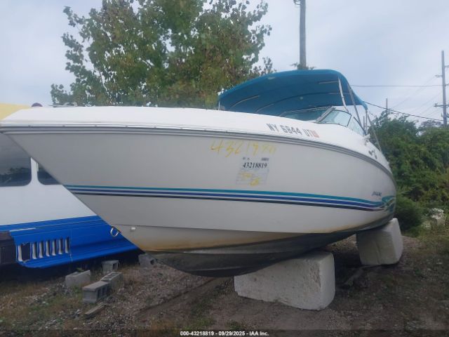 Wellcraft Other Image 2