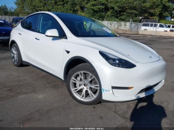  Salvage Tesla Model Y
