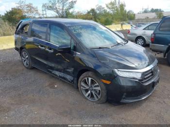  Salvage Honda Odyssey