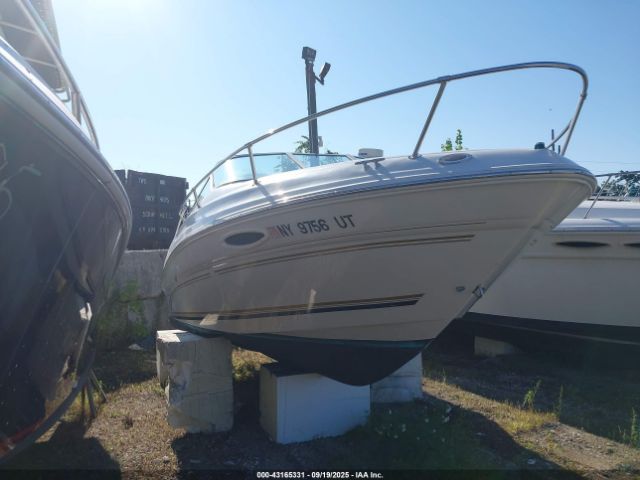 Sea Ray Other Image 2