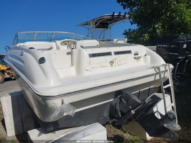 Sea Ray Other Image 8