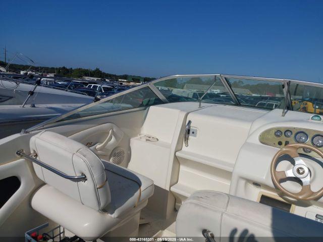 Sea Ray Other Image 4