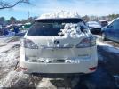 Lexus RX Image 16