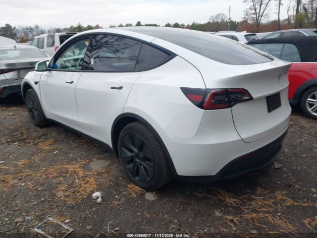 Tesla Model Y Image 16