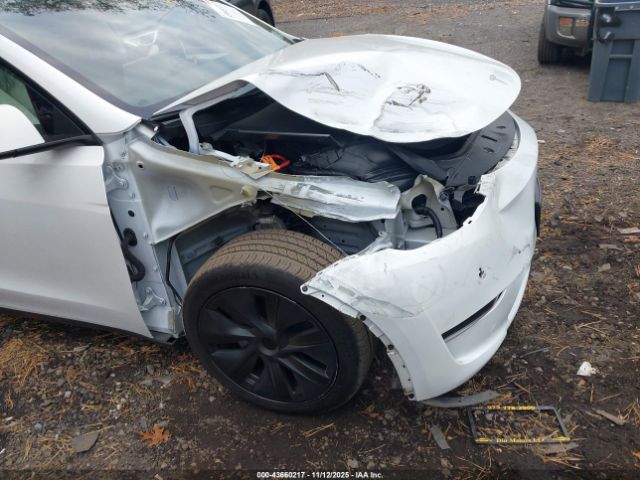 Tesla Model Y Image 3