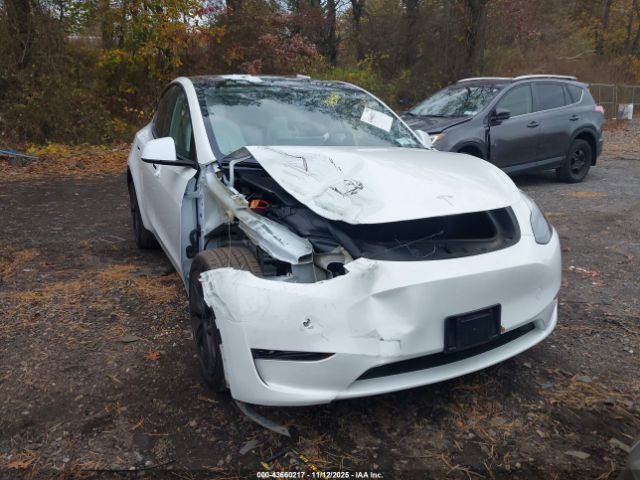 Tesla Model Y Image 6