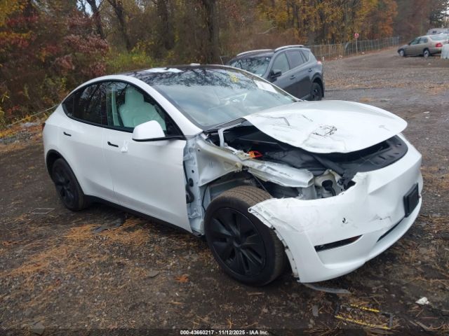 Tesla Model Y Image 5