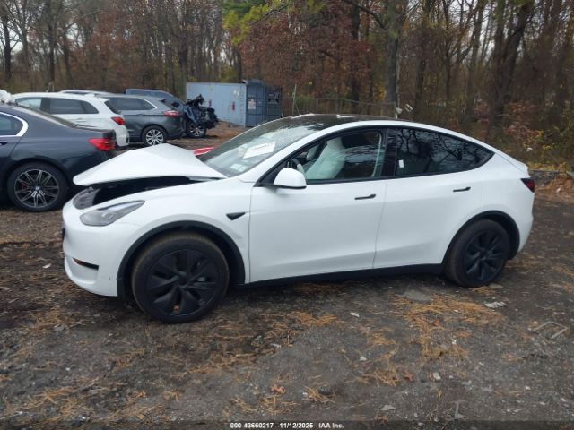 Tesla Model Y Image 12