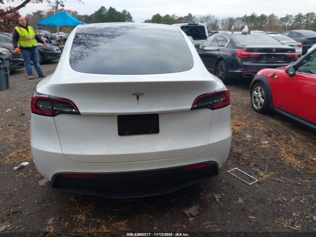 Tesla Model Y Image 13