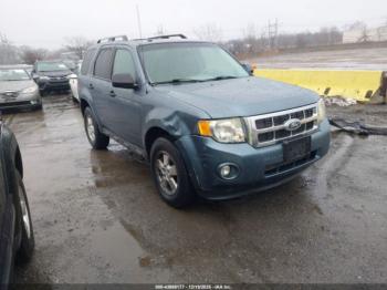  Salvage Ford Escape