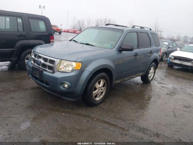 Ford Escape Xlt Image 11