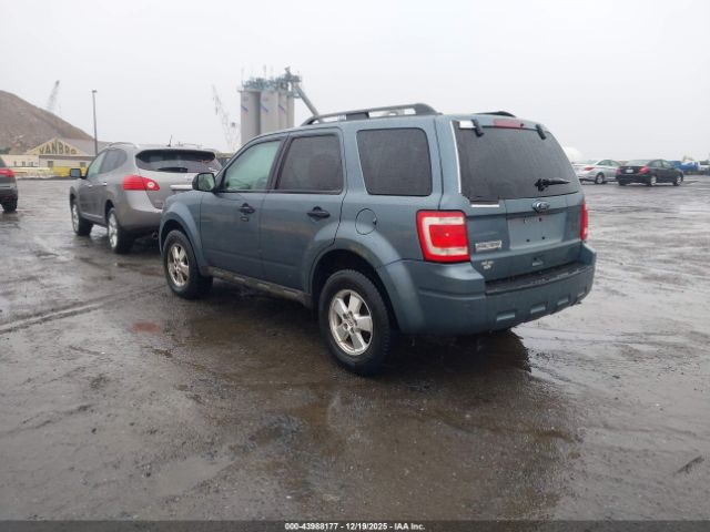 Ford Escape Xlt Image 4