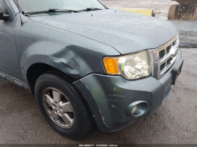 Ford Escape Xlt Image 7