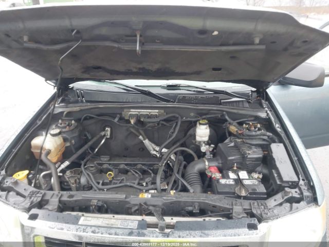 Ford Escape Xlt Image 2