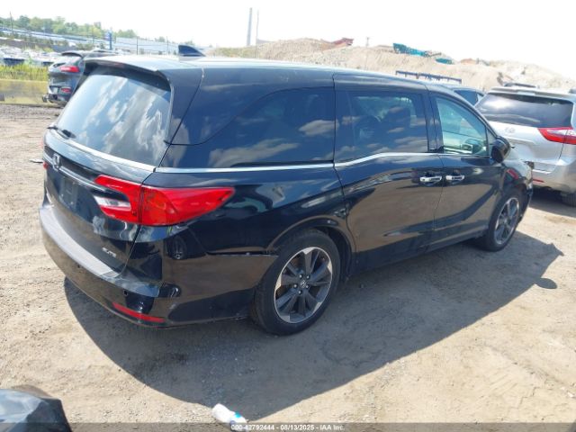 Honda Odyssey Elite Image 3