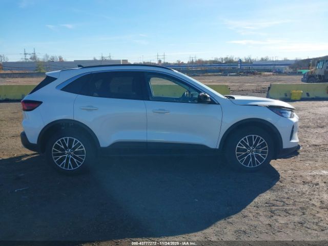 Ford Escape Phev Image 4