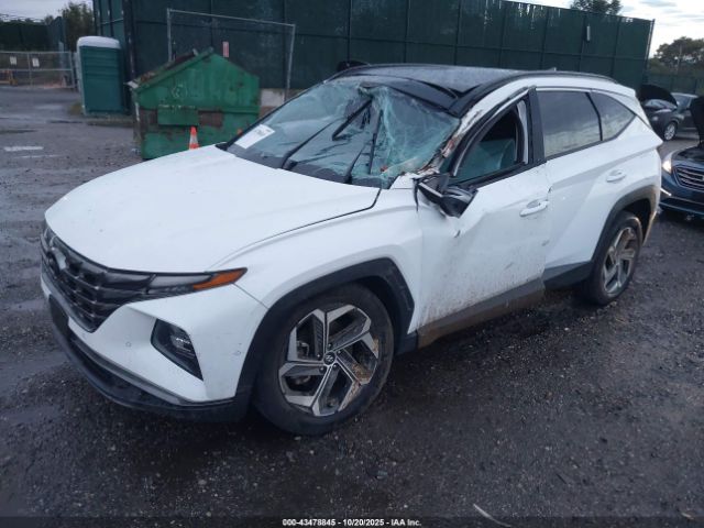 Hyundai TUCSON Limited Image 4