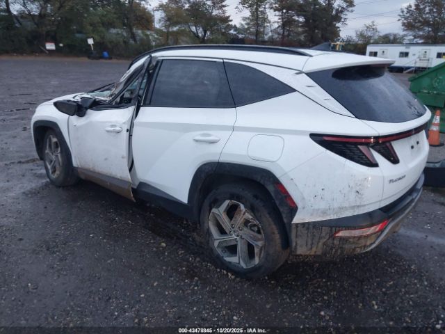 Hyundai TUCSON Limited Image 5