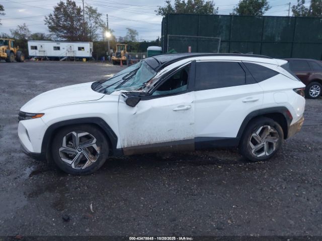 Hyundai TUCSON Limited Image 2