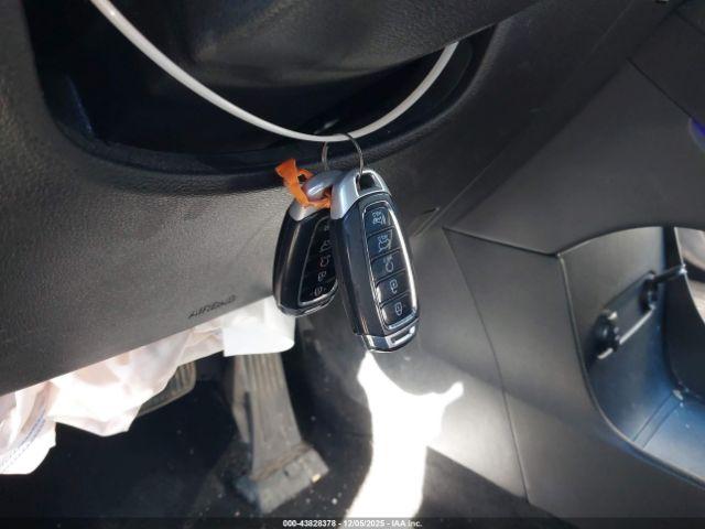 Hyundai PALISADE Calligraphy Image 9