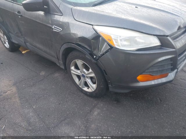 Ford Escape S Image 8