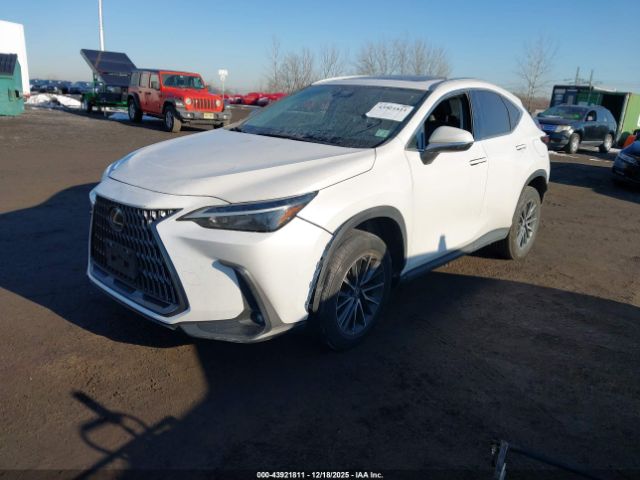 Lexus NX Image 16