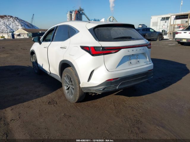 Lexus NX Image 2