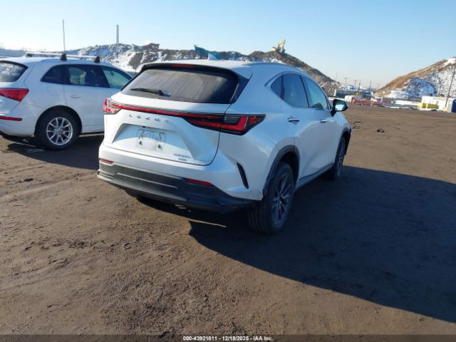 Lexus NX Image 13