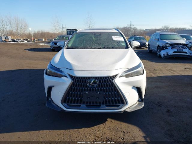 Lexus NX Image 12