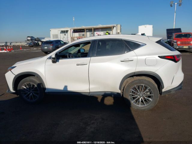 Lexus NX Image 14